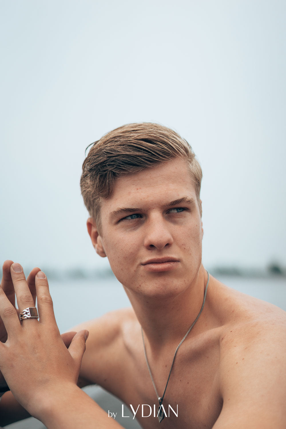 Bague pour homme en argent 925 avec pierre d'oeil de tigre LMR263